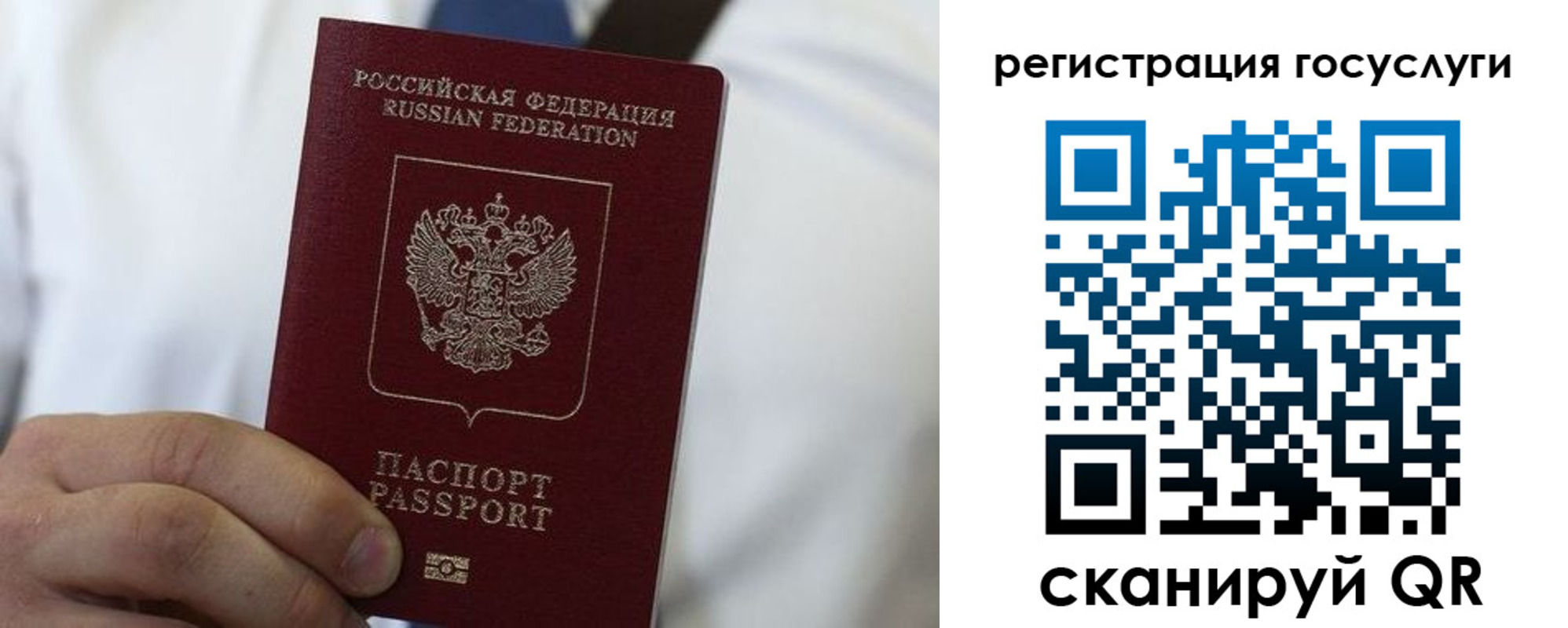 прописка в Лесозаводске